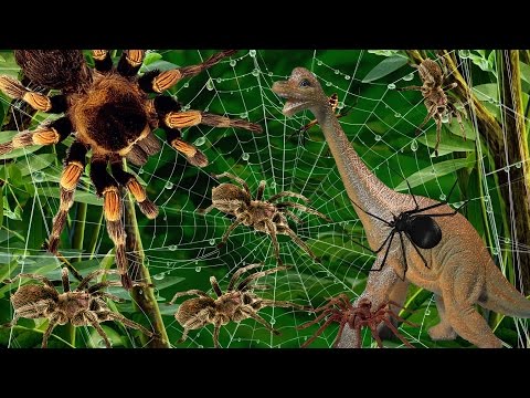 Мультфильм про доброго паука и доброго динозавра