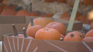 When will Planet Pumpkin in Fresno open