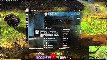 Guild Wars 2 Video Test