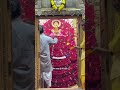 Shree Radhe ❤️ #radhakrishna  #krishna #krishnabhajan