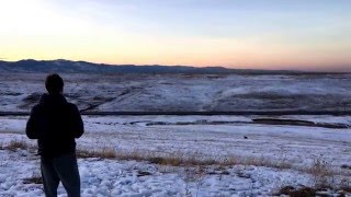 Radian Glide Toss And Dog Chase