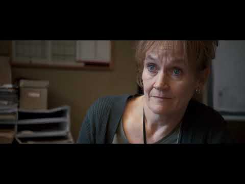 ქუჩის კატა სახელად ბობი / Quchia kata saxelad bobi