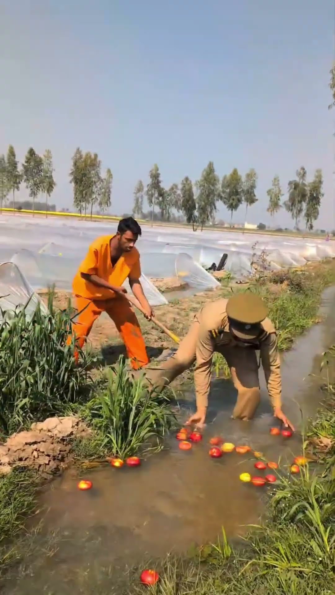 watchman found apples in water #shortsvideo