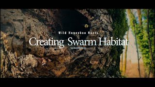 Wild Honeybee Nest Hunting & Creating Swarm Habitat