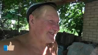 картинка: Любовь и голуби 2.