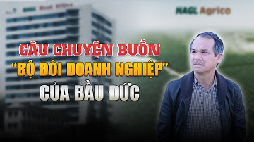 Nhìn lại những cú “buông tay” nghìn tỷ của đại gia Việt (P3)