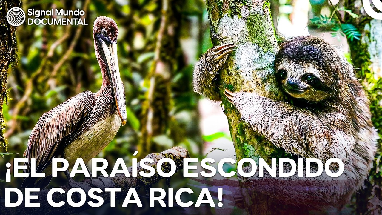 El ecosistema más rico del mundo: Costa Rica | doblaje al español