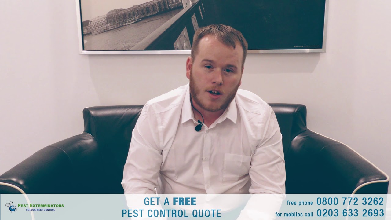 Pest Exterminators   pest control for london