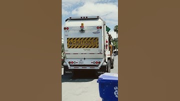 Pete 520 Labrie Automizer (342) 🌿🌴