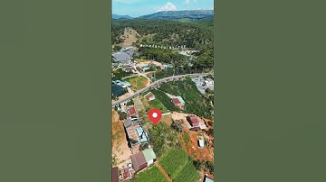 Đất mặt tiền Quốc Lộ 20. Cách Chợ Đà Lạt 15km 1567m2 13ty #nhadatdalat #bdsdalat #datviewdep #bds