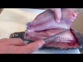 How to fillet a tilapia by Bluegrass Aquaponics.