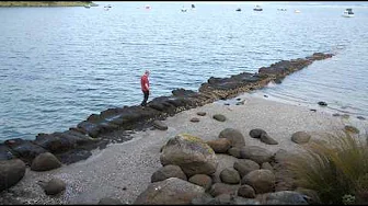 Whangārei Heads Volcanic Geology