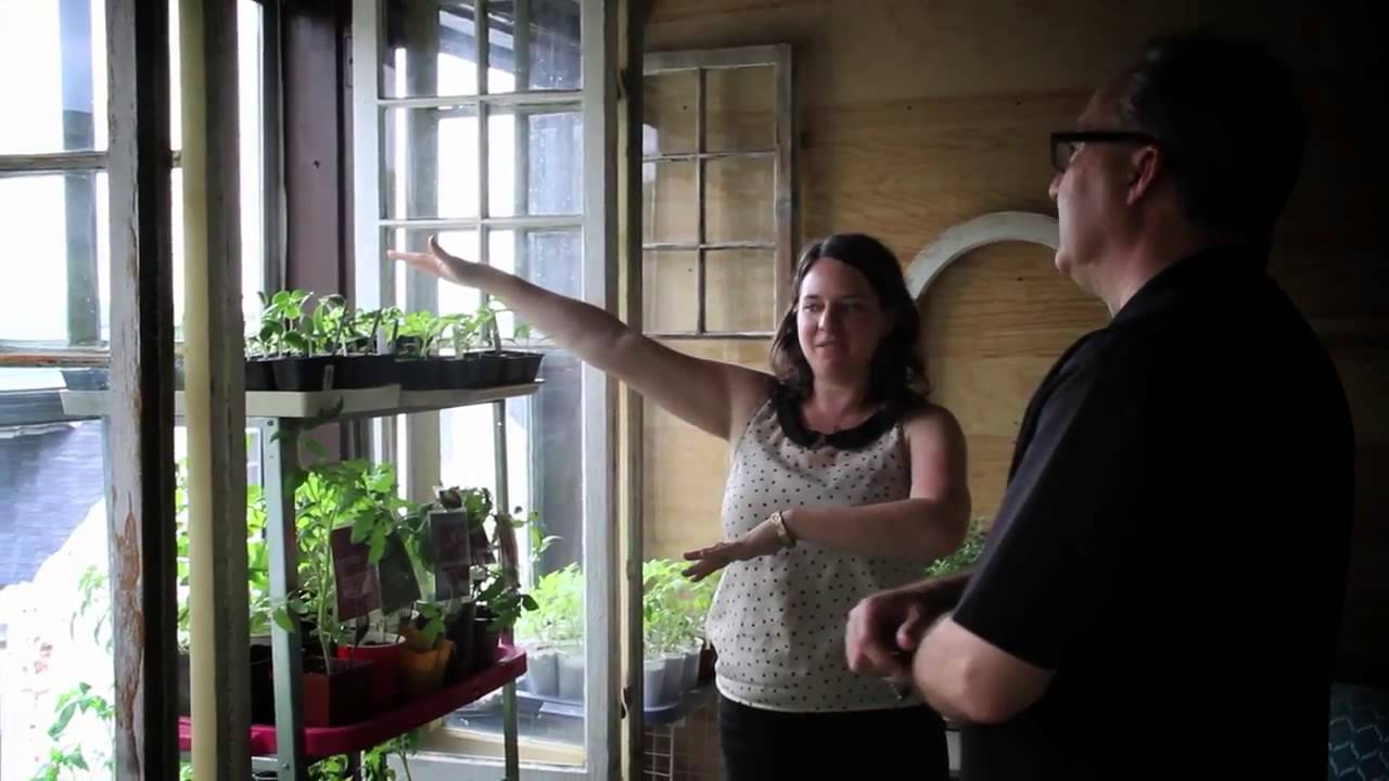 MY PETERBOROUGH : Urban Tomato