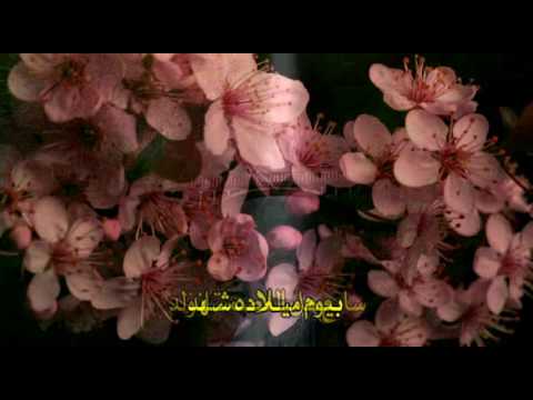 يالموالي الموالي