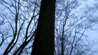 Capture 20101220 5 News