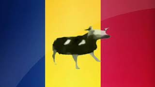 Polish Cow? What about ROMANIAN COW???