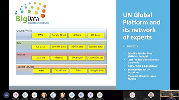 Data Innovation in Official Statistics Webinar - Part of the "Road to Bern" Webinar series