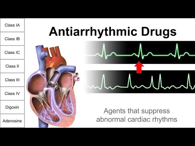 Antiarrhythmic Drugs class=