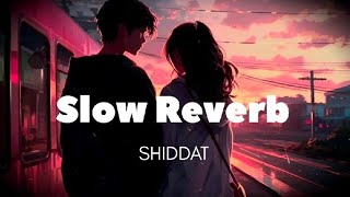 Shiddat Title Track (Slow Reverb) |Sunny Kaushal,Radhika Madan, Mohit Raina, Diana P |Manan Bhardwaj