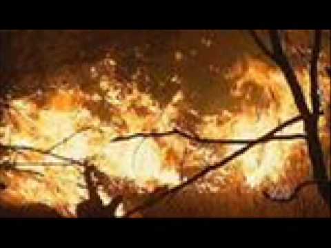 The Fires of Victoria