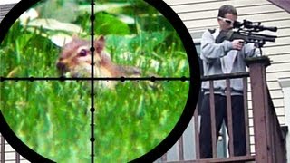 Chipmunk Pest Control [Air Rifle Hunting] (June 25, 2011)(This video was nixed by Youtube many months ago. So, I re-edited it - moving all of the slow-motion footage to an unlisted video. There is a link to that footage at ..., 2013-03-31T16:55:39.000Z)