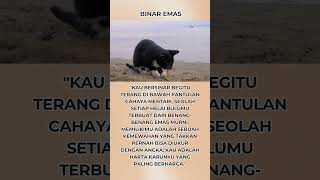 Binar emas