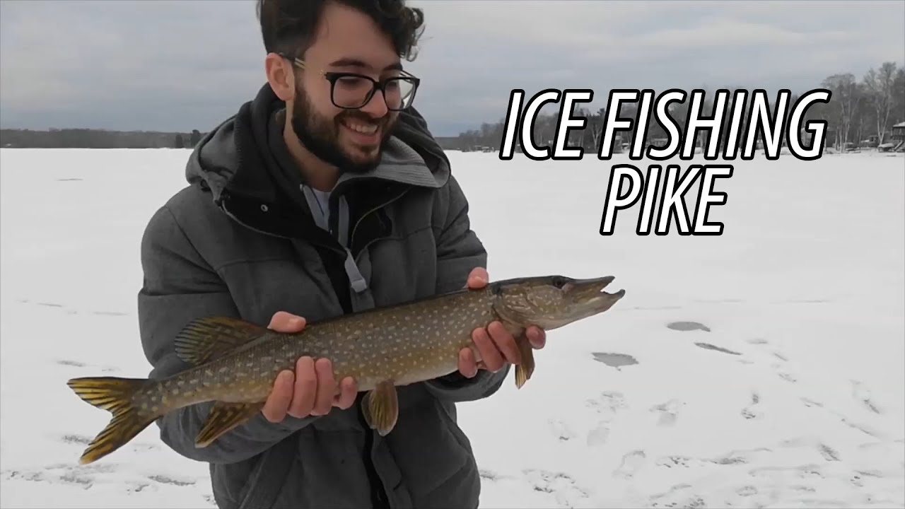 Fight with a pike during ice fishing! (Lake St. John) YouTube