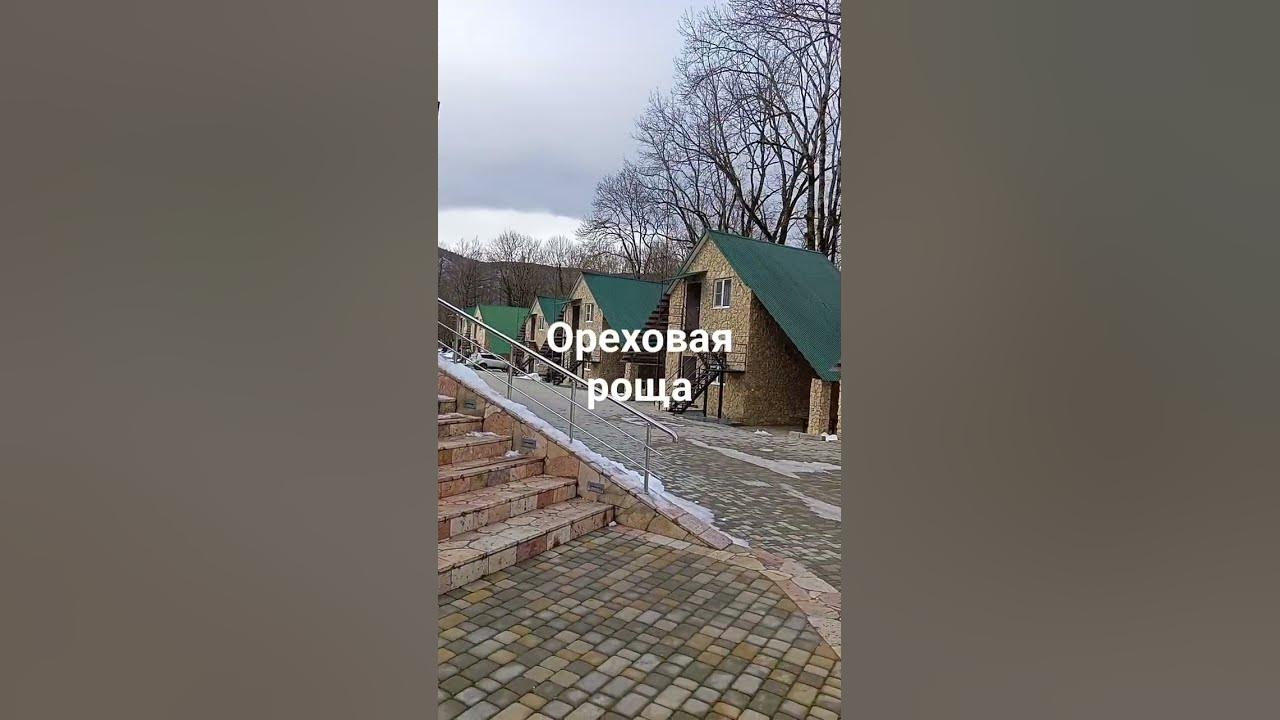 Ореховая роща Мезмай