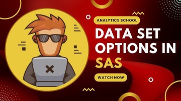 Data Set Options in SAS | Keep, Rename, Drop & More Explained