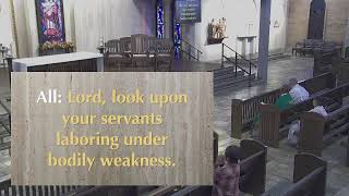 Wednesday of the 29th week in Ordinary Time