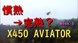 【RC】20191124 X450 AVIATOR Week 6 .いつもの飛行場、いつもの機体を飛ばします。【ラジコン】