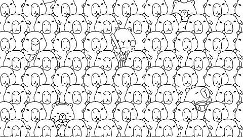 Mind Maze level 28 Find 10 different Capybaras