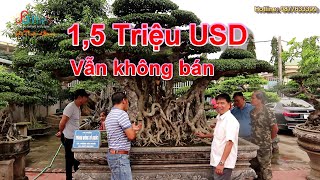 Anh Toàn Đô La trả 1,5 TRIỆU USD anh Mười vẫn chưa bán