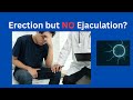 Erection but No Ejaculation? Causes, Myths & Treatment Explained by a Urologist