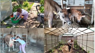 ТАКОГО ОТЁЛА ДАЖЕ ВЕТЕРИНАР НЕ ОЖИДАЛ...😥🐄🐖🌱