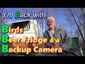 I'm Back with Birds, A Beer Fridge and a Backup Camera!
