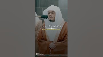 القرآن الكريم 🤍 بصوت الشيخ  ياسر الدوسري 🤍 #القرآن_الكريم #المصحف #yasseraldossary #ياسر_الدوسري