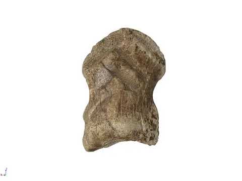 3D video of a deer bone carving made by Neanderthals