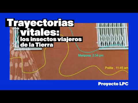 Video: ¿Qué es la estantería de fuentes vitales?