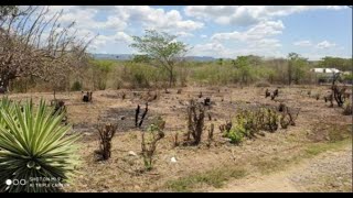 Jamaica Property for Sale:  Land for Sale in Palmers Cross Clarendon