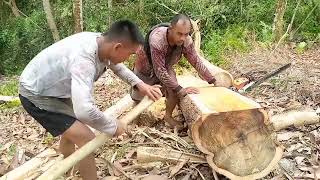 Skilled Chainsaw Operator Cut A Magium Tree 🔥🔥 | Boss JM