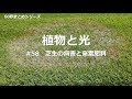 植物と光　＃58　芝生の病害と窒素肥料