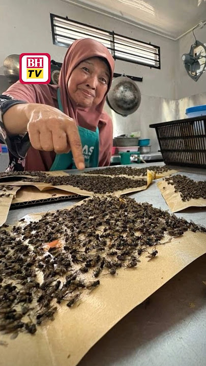Lalat 'serang' Mukim Songsang