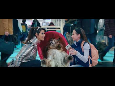 PIES I KOT - Zwiastun PL (Official Trailer) DUBBING