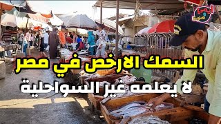 رحلتي للبحث عن أفضل وأرخص الاسماك الشعبية في مصر 🐟 السمك اللي سعره علي اد الايد 👌 بصحيح