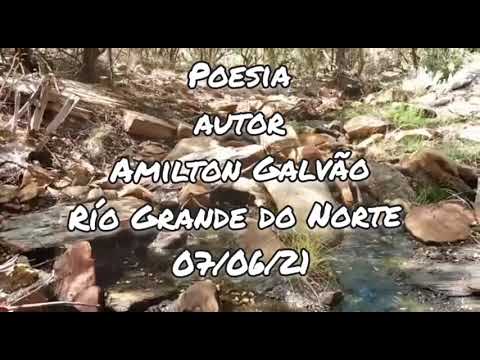 Vídeo: Céu Do Norte: Acima Dos Territórios Do Noroeste Com Ted Grant