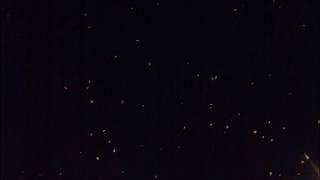 Vedâ - Orhan Seyfi Orhon