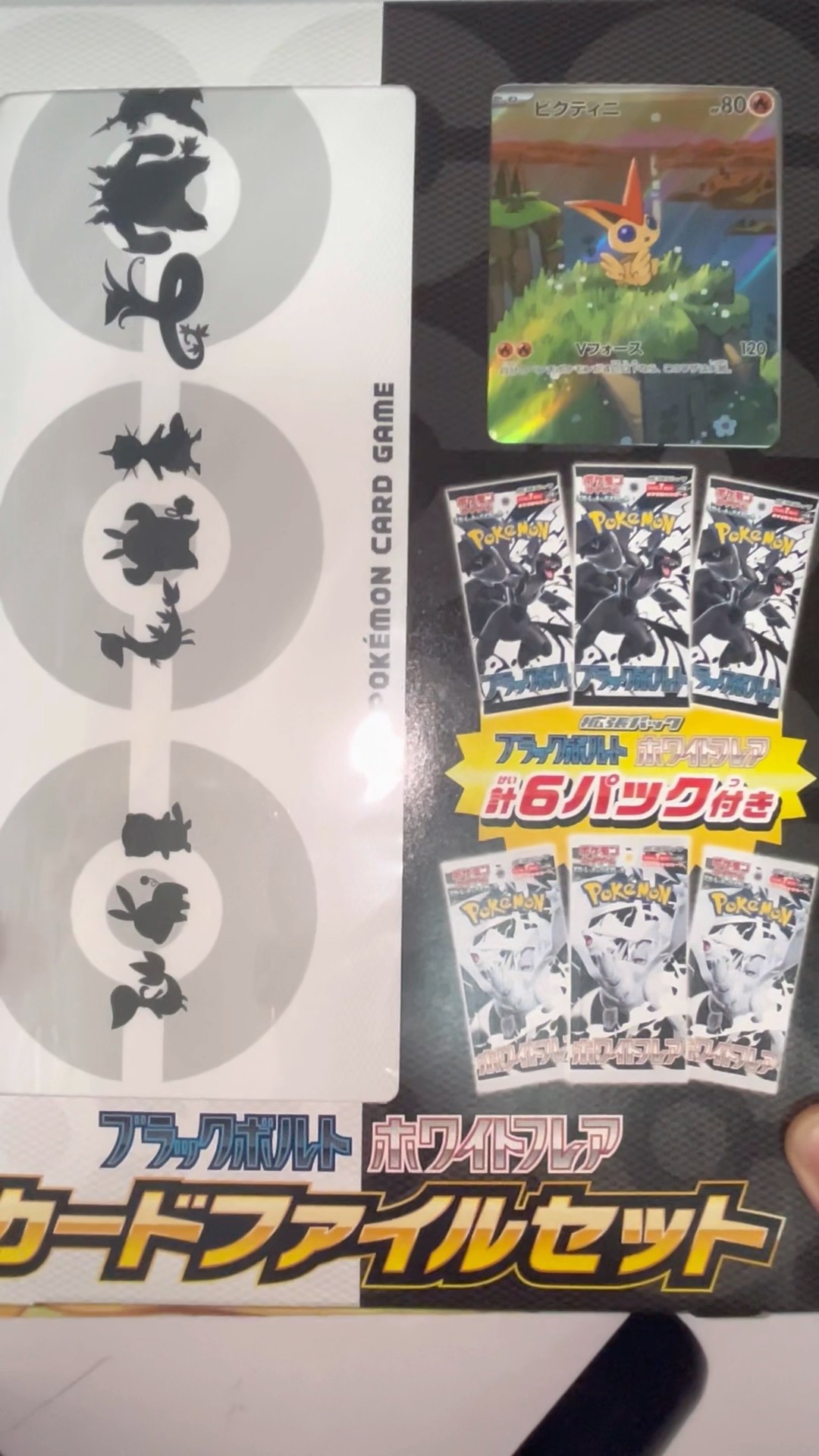 ポケモンカード】最新弾のファイルセット開けたら表紙のカード出ました