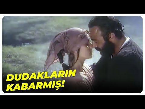 Gelmeyeceksin Diye Ödüm Koptu! | Serpil Çakmaklı