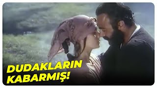 Gelmeyeceksin Diye Ödüm Koptu Serpil Çakmaklı